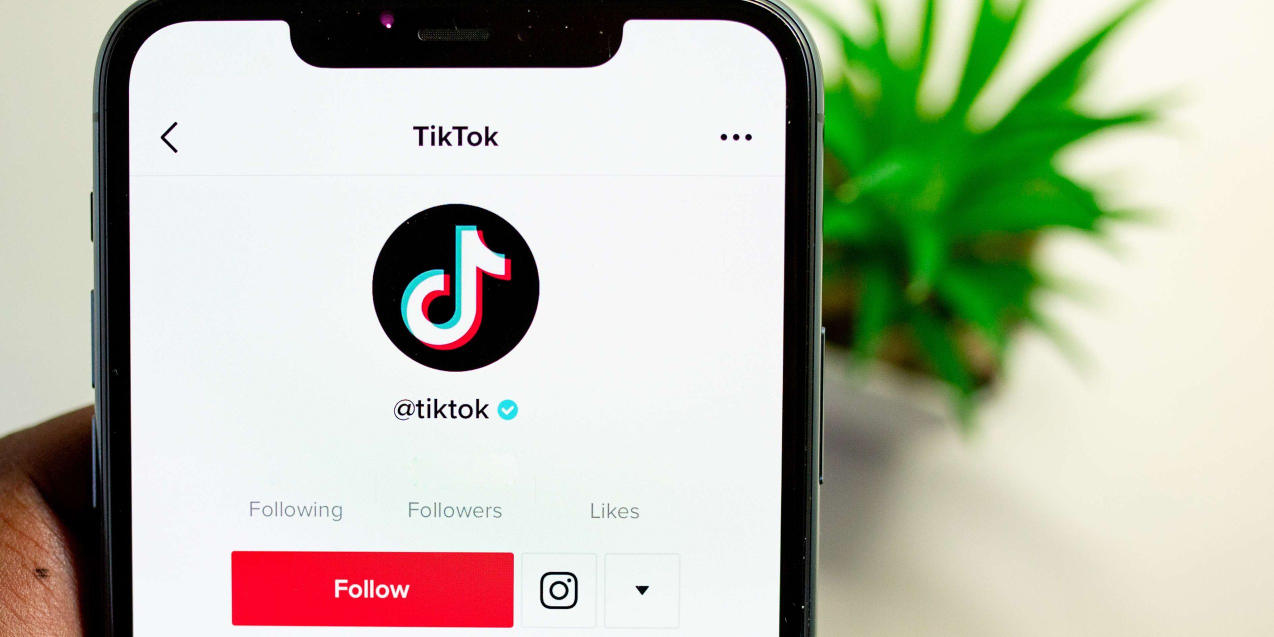 Running ads can be expensive to run on tiktok for small businesses