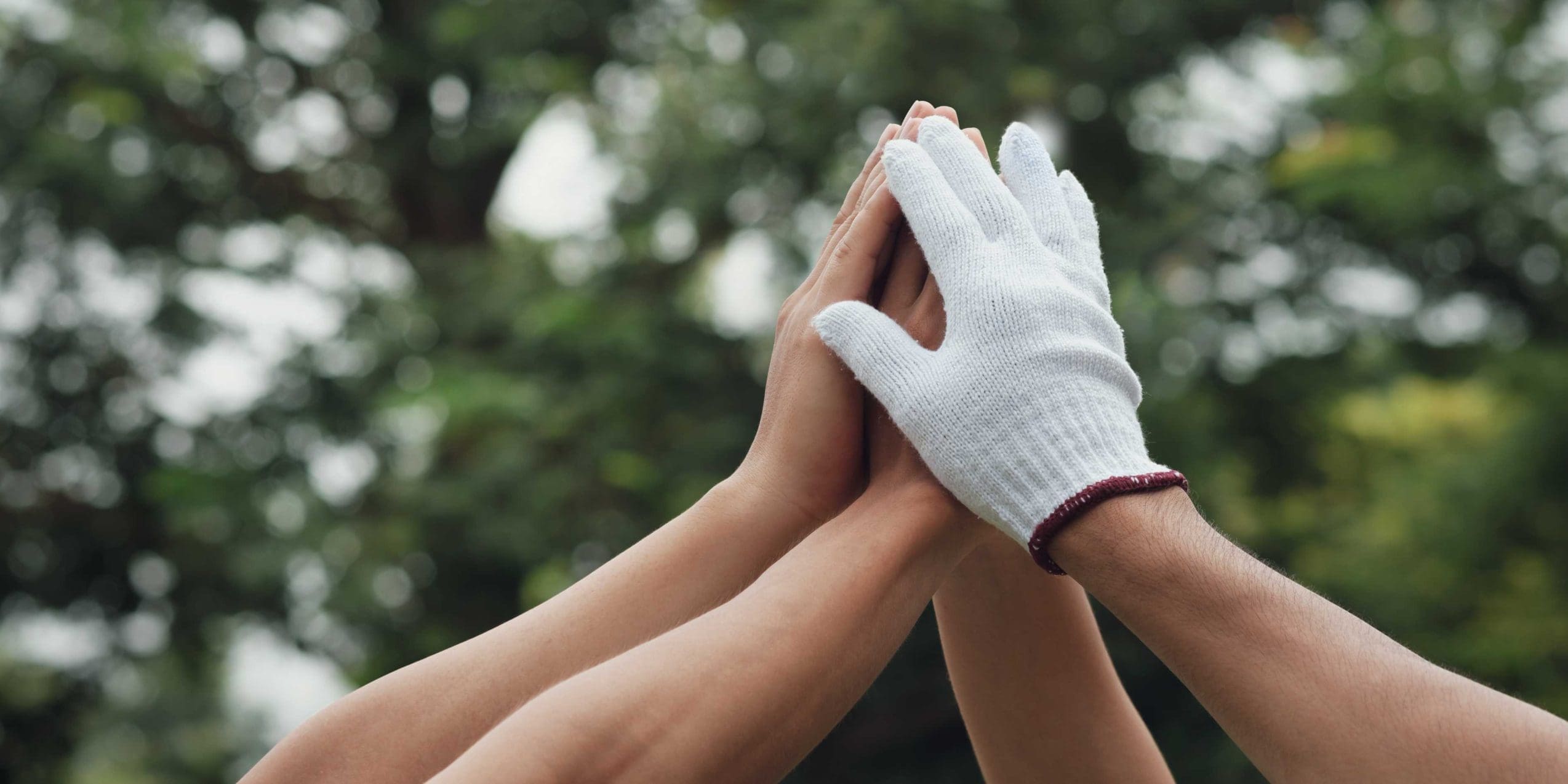 Sharing your environmental knowledge