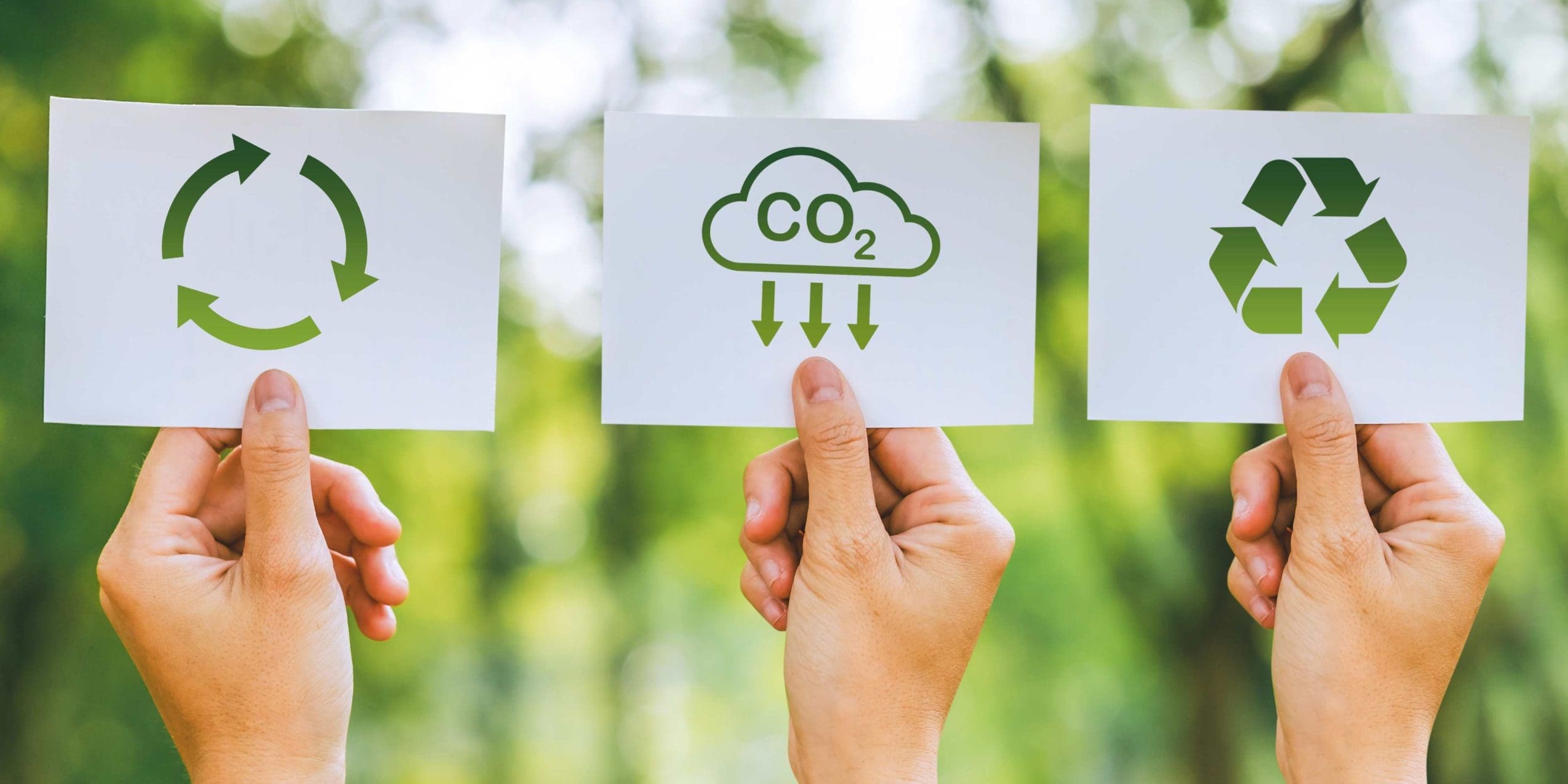 Greenwashing in business